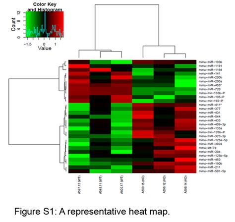 Identification And Characterization Of Micrornas Controlled By The