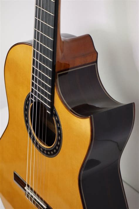 Flamenco Gitarre Juan Montes Cocobolo Especial