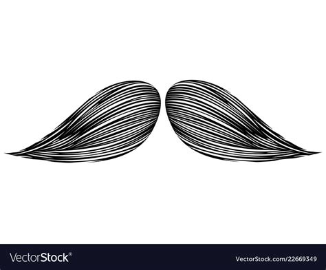 Isolated detailed mustache Royalty Free Vector Image