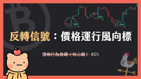 【價格行為基礎 05】什麼是反轉信號？開倉前必學的反轉信號 K 線！ Youtube