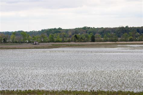 Patuxent River Park On Behance