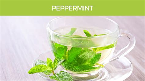 Peppermint Tea 100g Brett Elliott