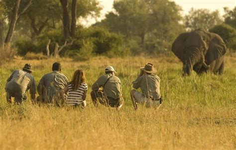 Botswana Safaris Tours Safaris In Botswana Africa Safari Vacations