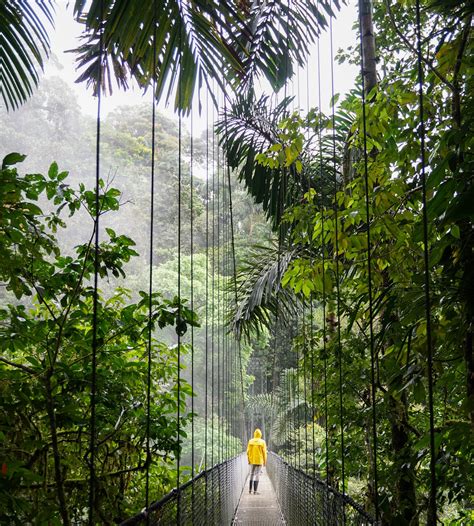 The Very Best Time To Visit Costa Rica