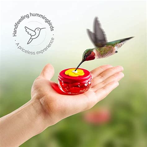 These 6 Handheld Hummingbird Feeders Are The Cutest Things You Ll See