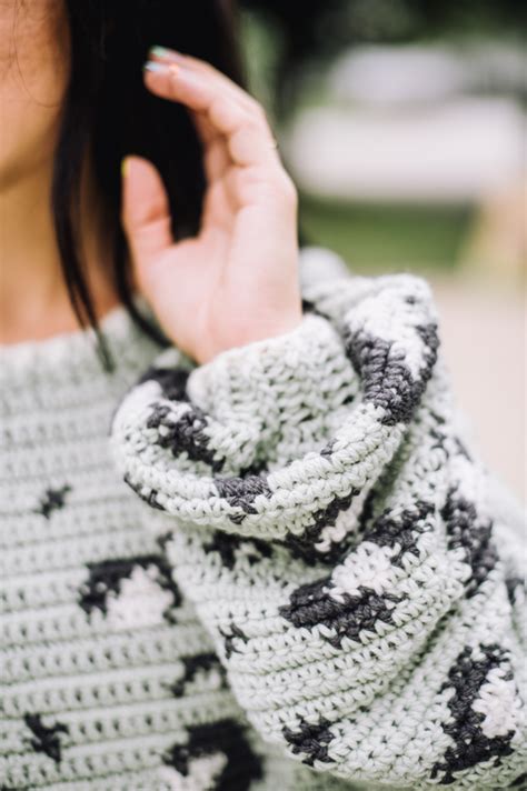 Pastel Leopard Sweater I Like Crochet