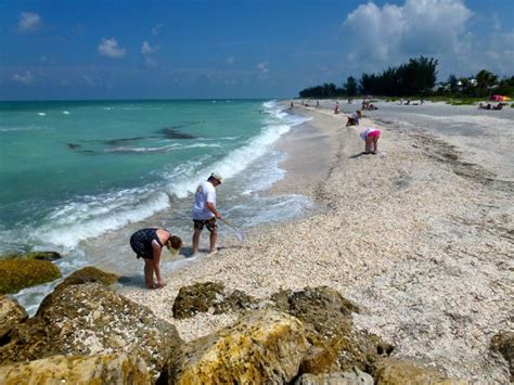 Rosy Days At Blind Pass Captiva I Love Shelling