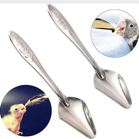 Bird Feeder Spoons 2024 Stainless Steel Parrot Feeding Scoops From