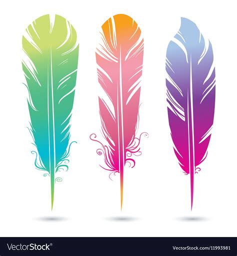 Color Bright Decorative Feathers Of Birds Vector Image