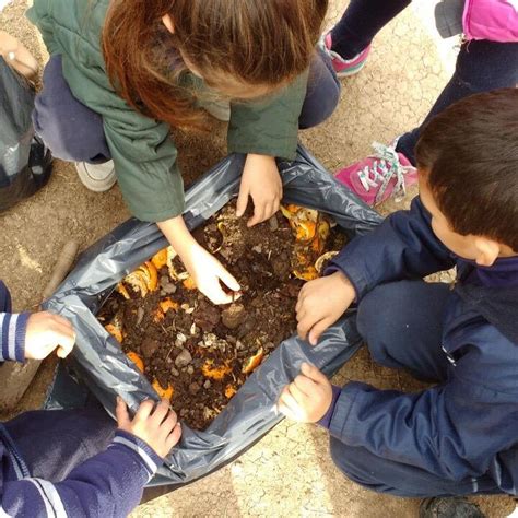 Chicos Naturalistas Educación