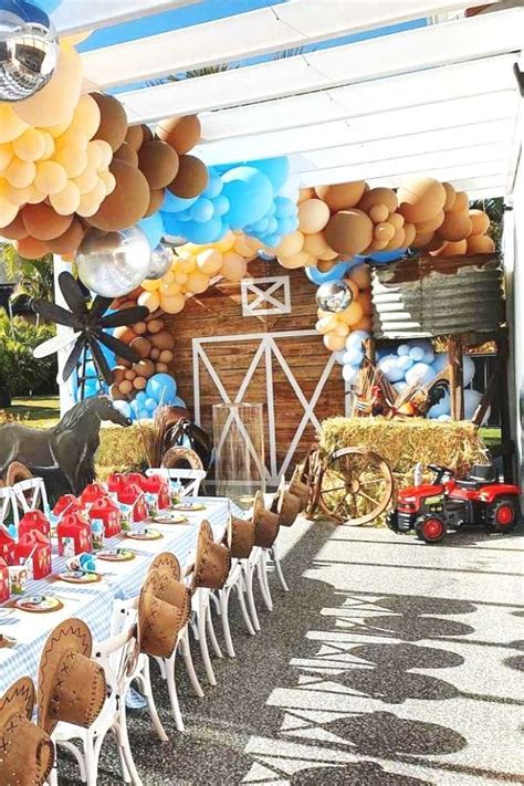 Farm Themed St Birthday Birthday Party Ideas Photo Of Farm