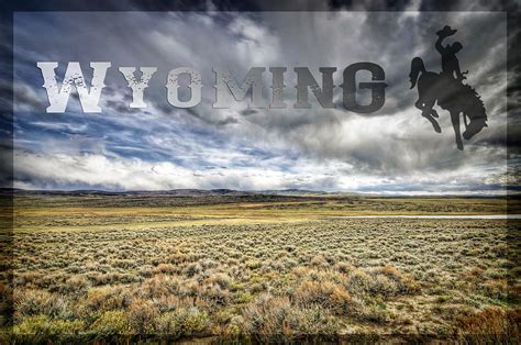 Wyoming Meadow Photograph By Peak Photography By Clint Easley