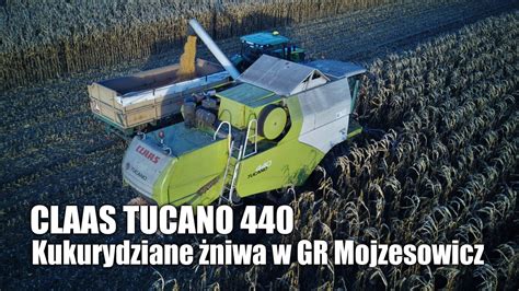 Kukurydziane żniwa 2021 w GR Mojzesowicz w polu Claas Tucano 440