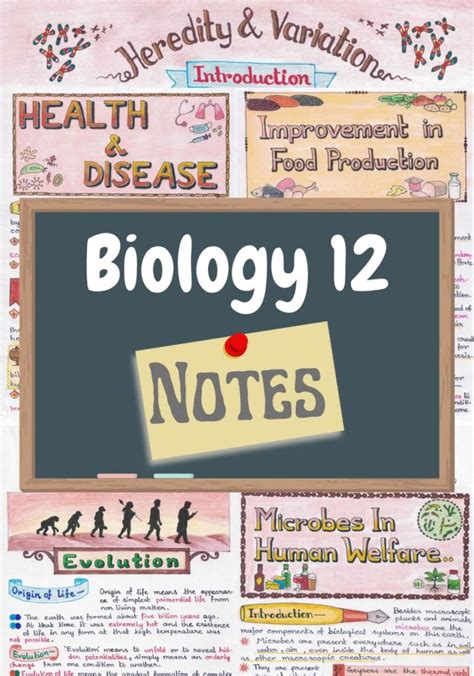 Class 12 Biology Chapters 1 16 Handwritten Notes PDF CBSE