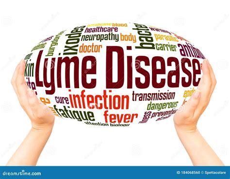 Lyme Disease Word Hand Sphere Cloud Concept Stock Photography