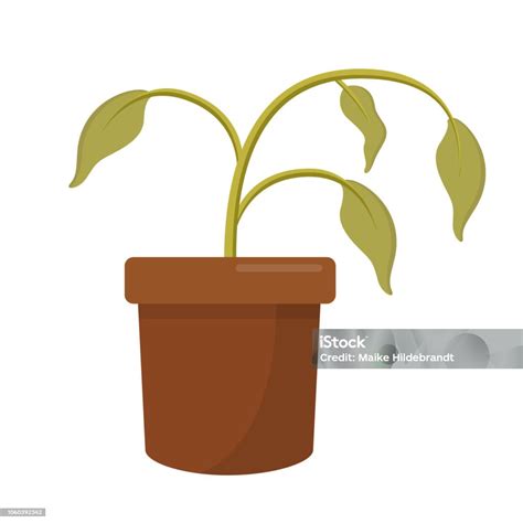 Dying Dry Dead Houseplant In A Plant Pot Flat Design Icon Isolated On