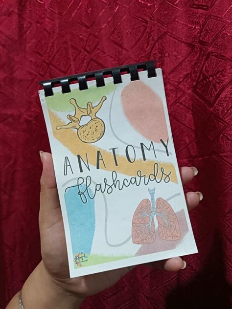 ANATOMY FLASHCARDS, Hobbies & Toys, Books & Magazines, Assessment Books ...