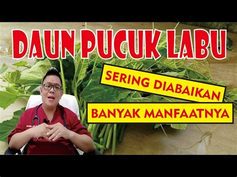 Ketahui 5 Manfaat Daun Labu Kuning Yang Jarang Diketahui