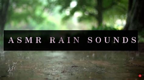 Asmr Relaxing Rain Sounds For Meditation Youtube