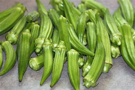 Бамия Что Это Такое Фото – Telegraph