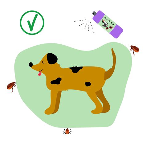 Tick and flea supplies. Dog treated with flea spray. Flea and tick