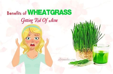 Top 31 Benefits Of Wheatgrass Juice For Health Skin Beauty