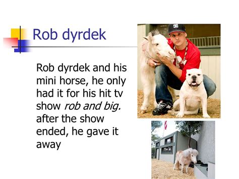 Rob And Big Mini Horse