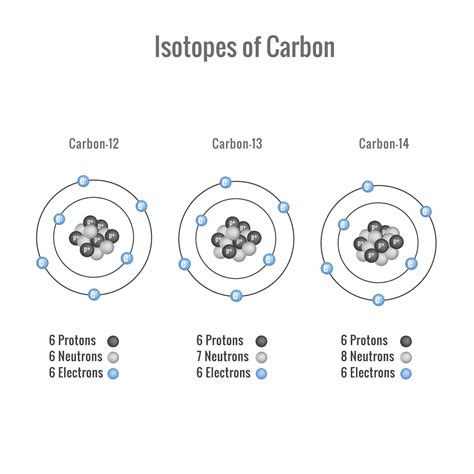 isotopes  carbon vector illustration  vector art  vecteezy