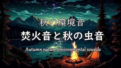 【自然音asmr】夜の湖畔 秋の虫と焚火の音 自然環境音 1fゆらぎ音でリラックス効果 睡眠や読書のお供に。 Youtube