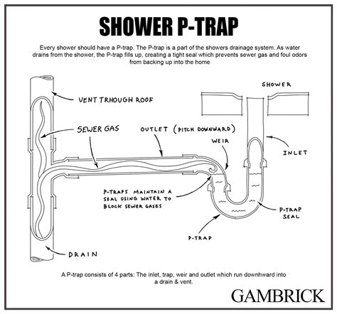 Do Showers Have A P Trap Modern Design