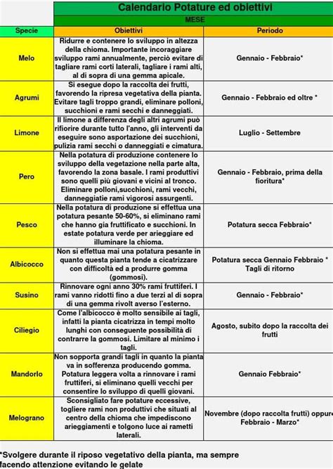 Calendario Potatura Degli Alberi Da Frutto Palmaviva