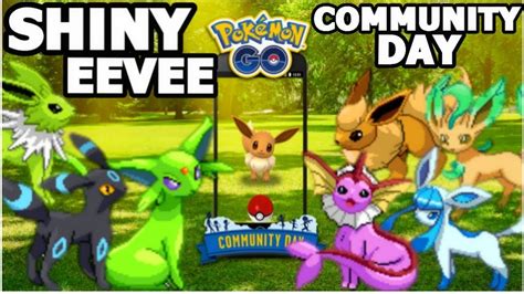 Shiny Eevee Community Day In Pokemon Go All Shiny Eevee Evolutions