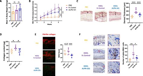 Acazicolcept ALPN 101 Alleviates Dermal Fibrosis Development In The