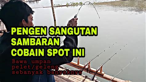 Panen Asalkan Kuat Melayaninya Ikan Lagi Kumpul Ngopi Juga Gak