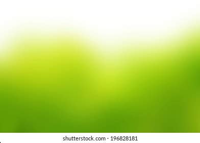 563,285 White Green Gradient Images, Stock Photos & Vectors | Shutterstock