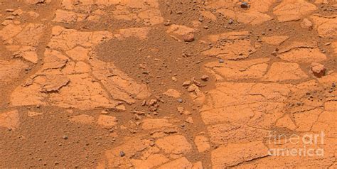 Martian Surface By Nasa Science Photo Library