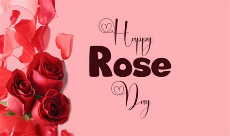 Rose Day Wishes Messages And Quotes Wishesmsg