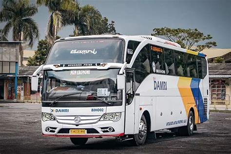 Bus Damri Jakarta Malang Buka Jadwal Keberangkatan Pagi Tangerang Raya