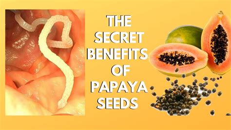 The Secret Benefits Of Papaya Seeds 7 Youtube