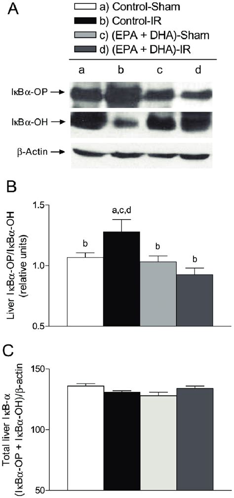 Effect Of Epa Plus Dha Supplementation On Liver Ikba Phosphorylation