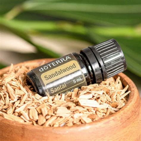 doTERRA Sandalwood Oil Indian dōTERRA Essential Oils 4You