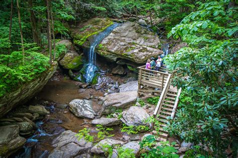 The 15 Best Boone NC Hiking Trails to Explore