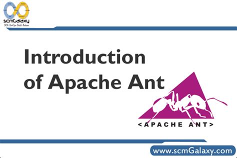 Apache Ant Tutorial Litepor