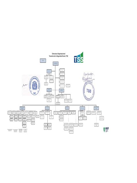 Organigrama Tss Nov2019 Pdf