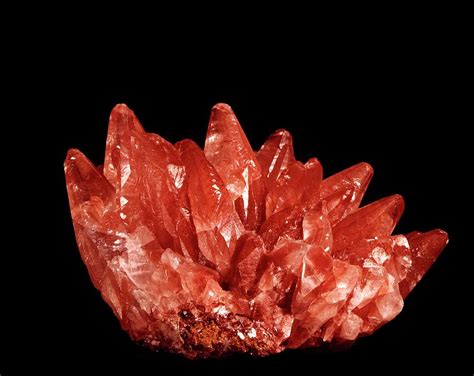 Pink Calcite Crystals Photograph By Natural History Museum London