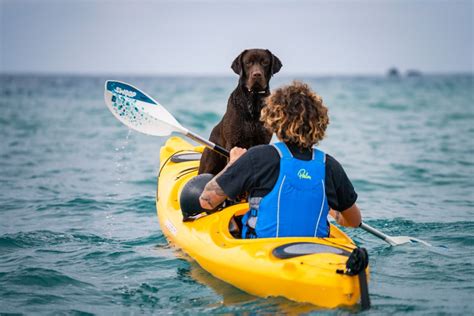 Santorini Sea Caves Kayak Trip With Snorkeling And Picnic