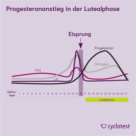 Hormone Zyklus So Beeinflussen Sie Deine Stimmung Cyclotest