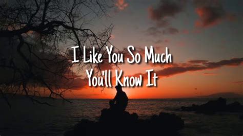 I Like You So Much Youll Know It Ysabelle Lyrics Youtube