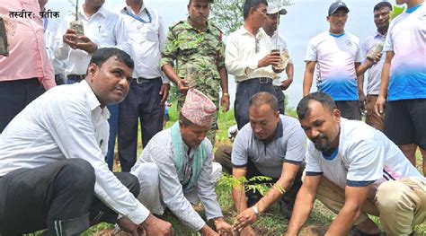 पर्सागढीमा भावी सन्तति र समृद्धिका लागि वृक्षारोपण प्रतीक दैनिक