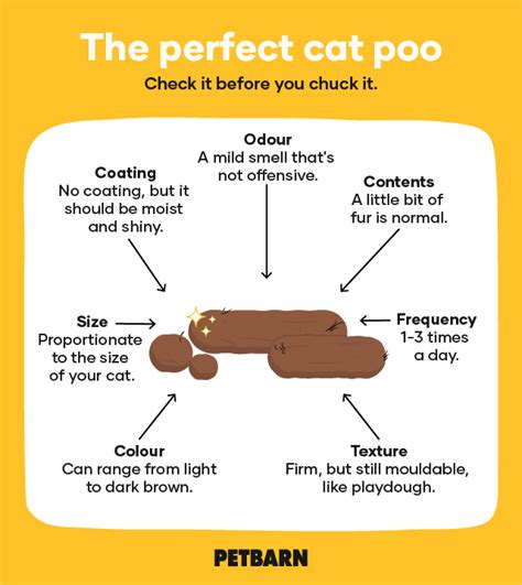 Cat Poop Chart